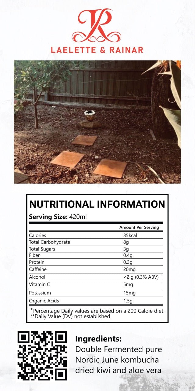 Laelette and Rainar kiwi and cactus June kombucha pure - Porters Reserve